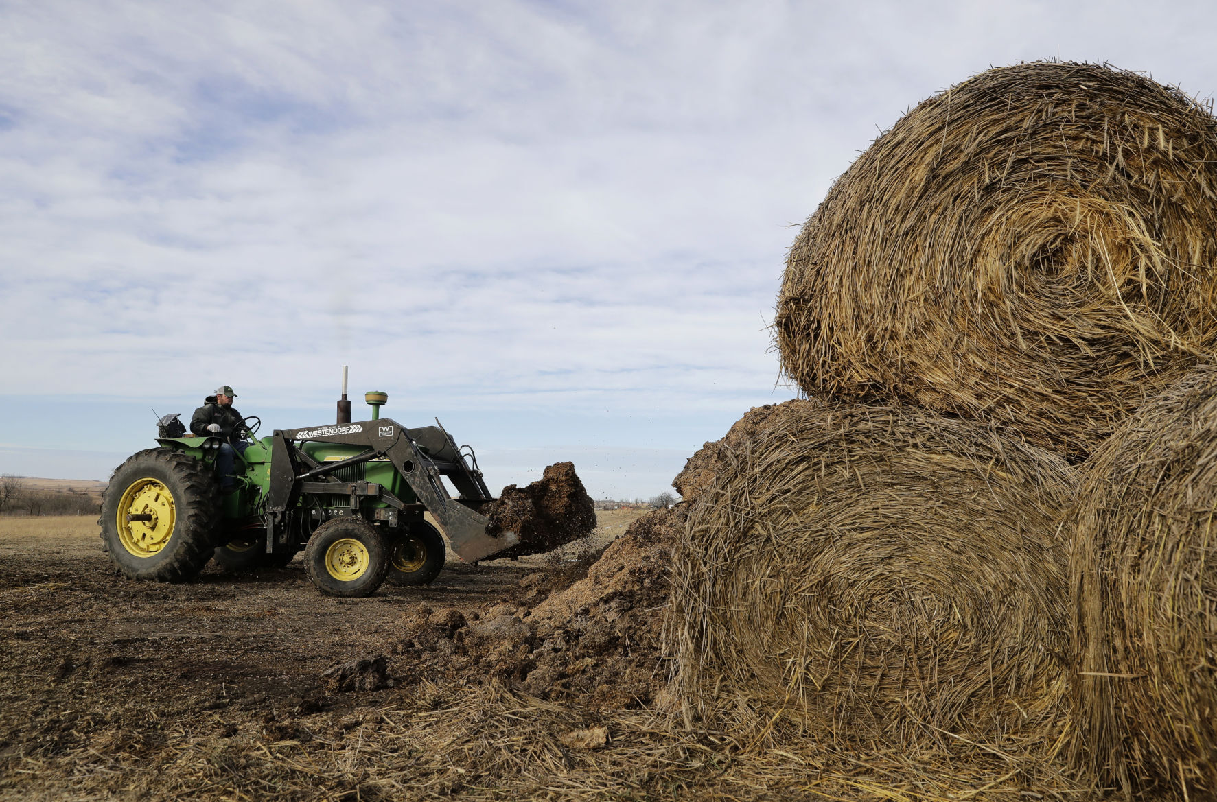 Hay: $6,955,236,000